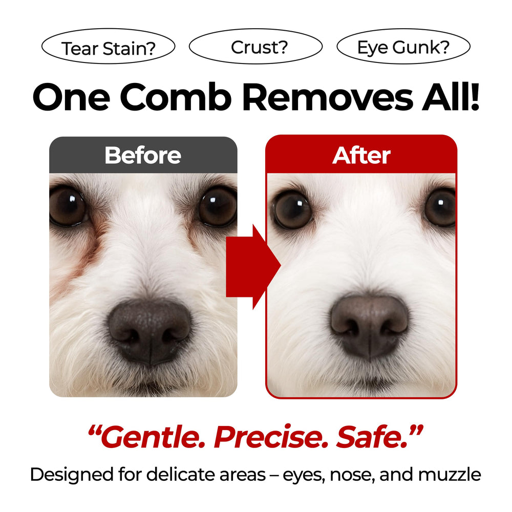 JAYU PET peine dientes ultrafinos, limpieza precisa en zonas sensibles.