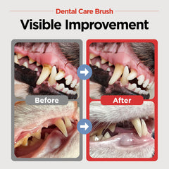 Cepillo dental JAYU PET, cabeza horizontal para un cepillado preciso.