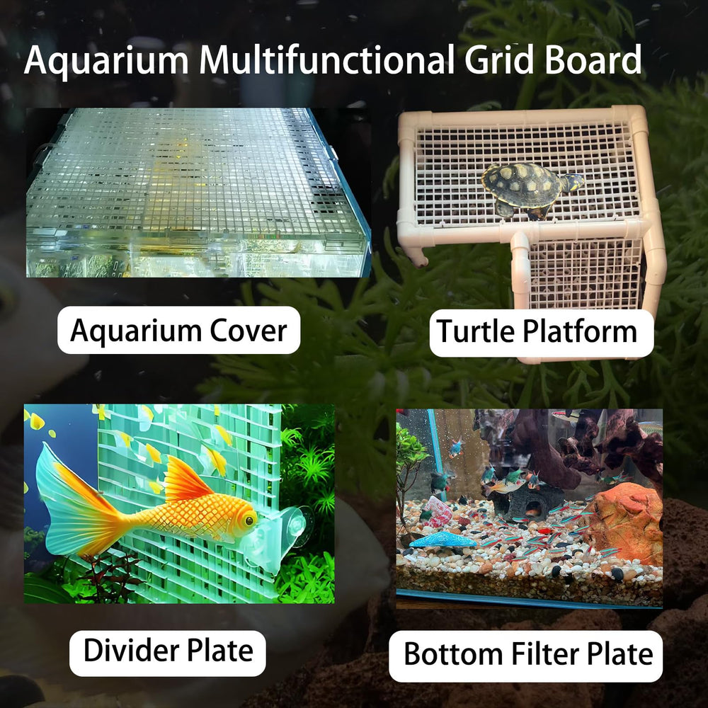 JBCCMY diseño personalizable para adaptar medidas y soluciones al acuario.