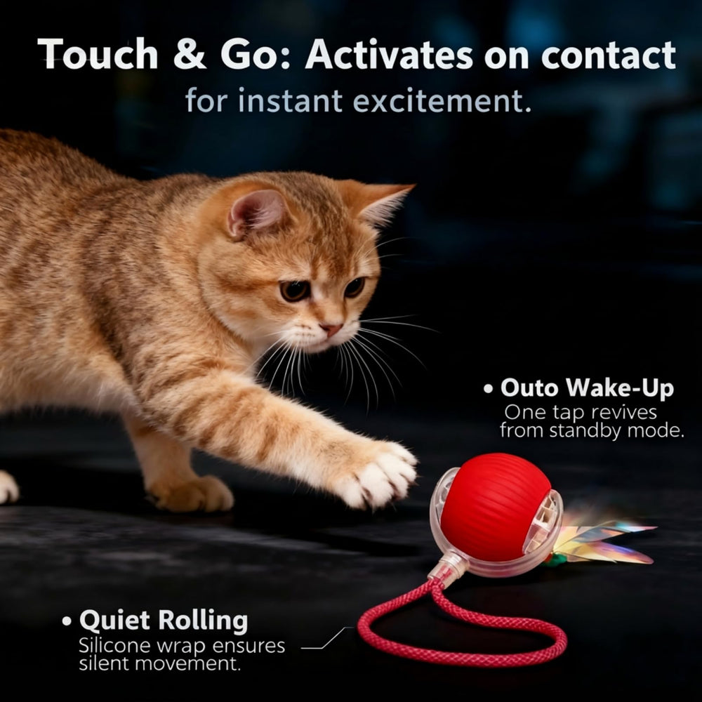 Bola para gatos JBD con movimiento 360 que despierta la caza y la actividad.
