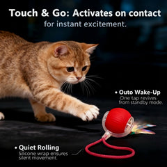 Bola para gatos JBD con movimiento 360 que despierta la caza y la actividad.