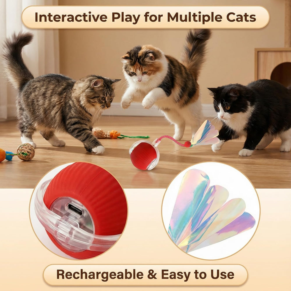 Juguete para gatos con cola atrayente de JBD para más juego.