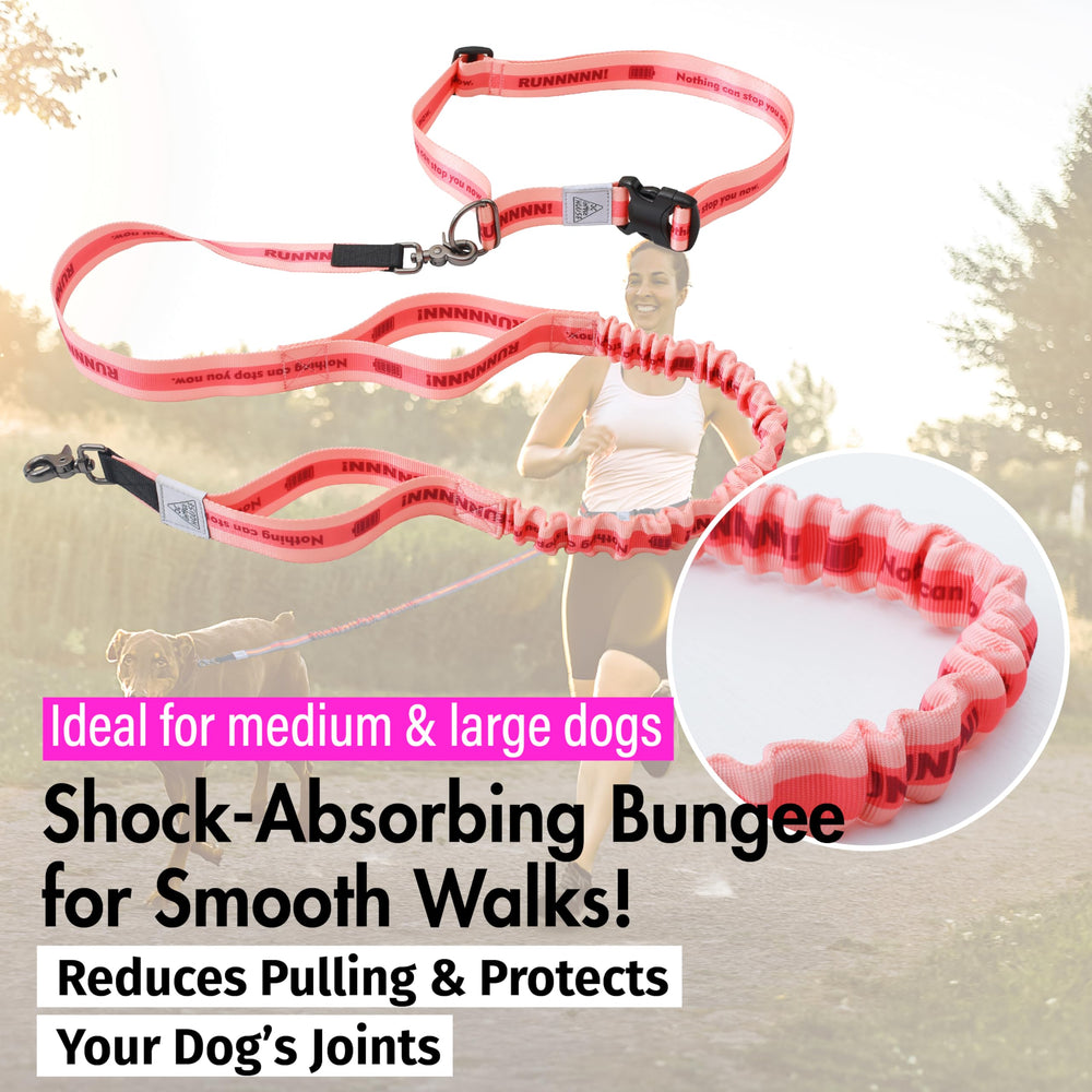 JC HOUSE amortiguación bungee para paseos más suaves y tirones reducidos.