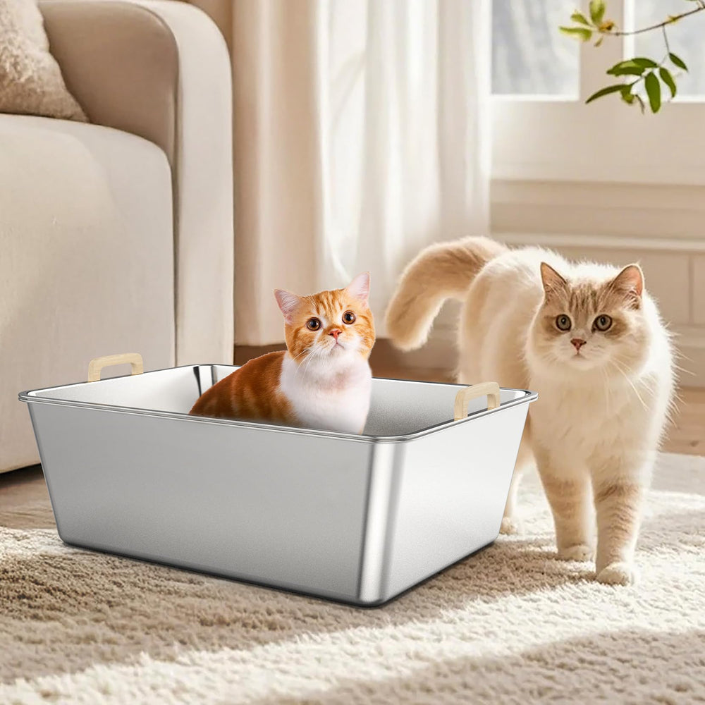 JDCQKHA tamaño extra grande, ideal para felinos grandes o varias.