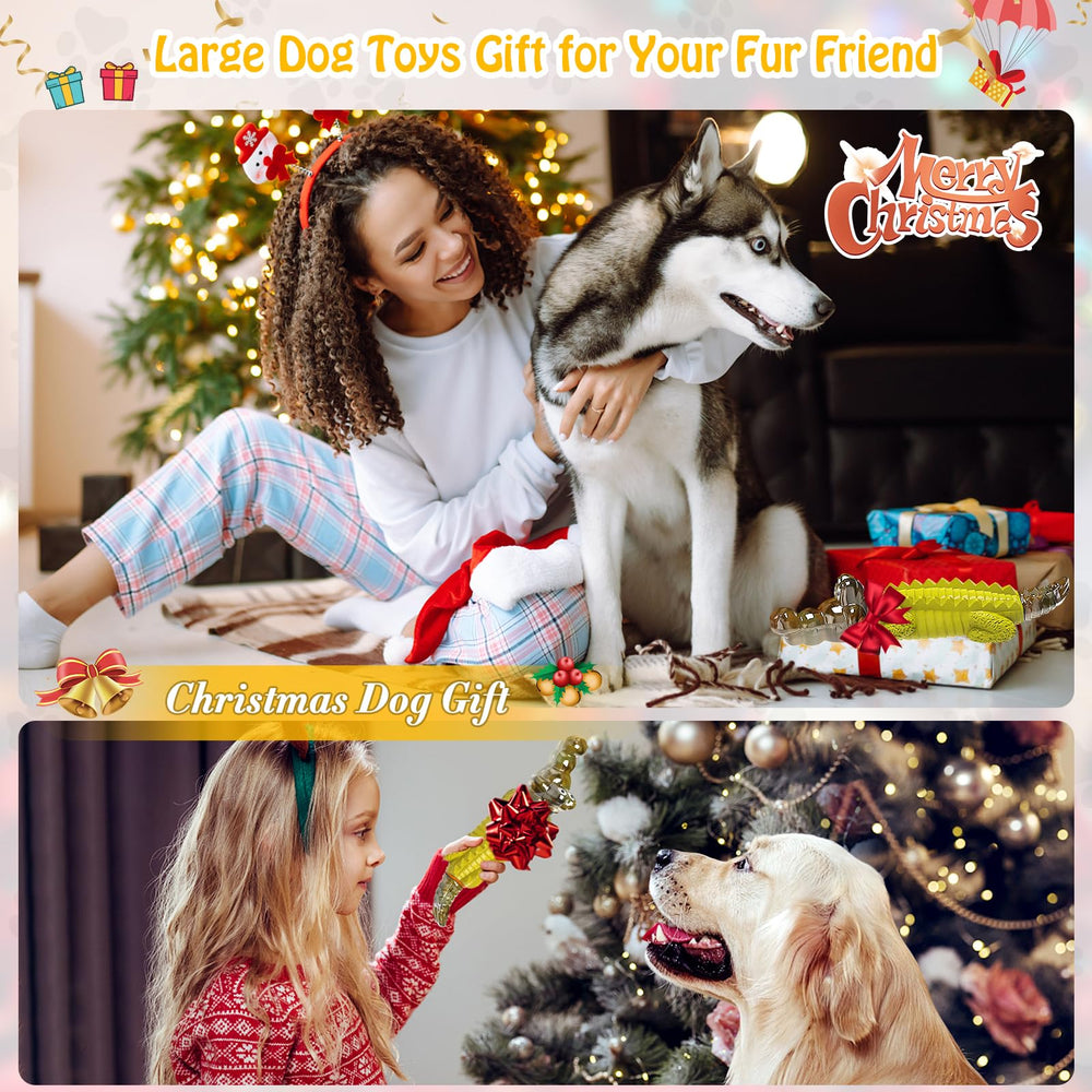 Jeefome regalo ideal para sorprender a tu perro en cualquier ocasión.