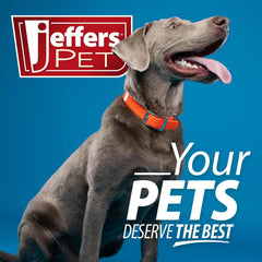 Jeffers tiburón hammerhead de 8 pulgadas suave y duradero para perros pequeños y medianos