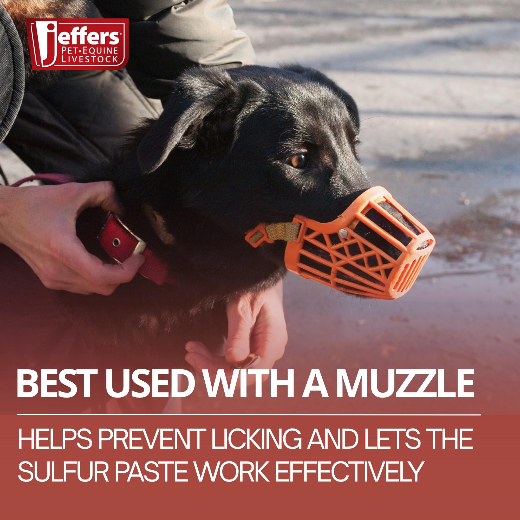 Jeffers Super Sulfur Paste cuidado de patas durante grooming.