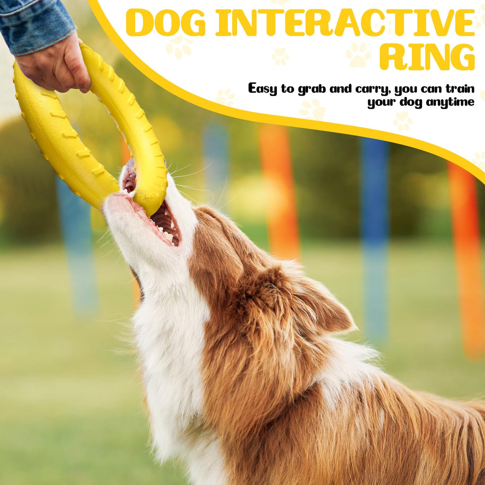 Actividad física con el anillo Jenaai para perro, mejora energía.