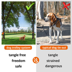 Jenico cable para perro, 100 pies, alcance extendido para parques y jardines