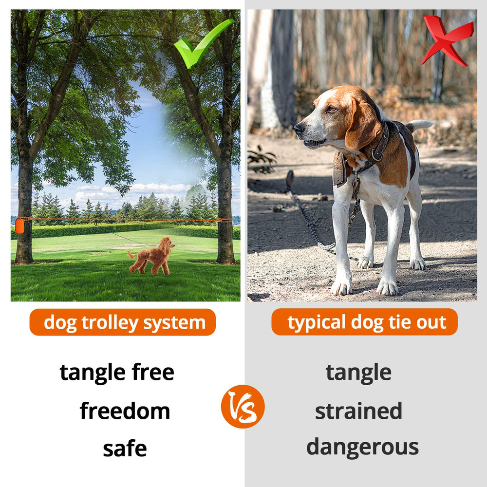 Jenico cable para perros camping de 100 ft, alcance versátil en parques.