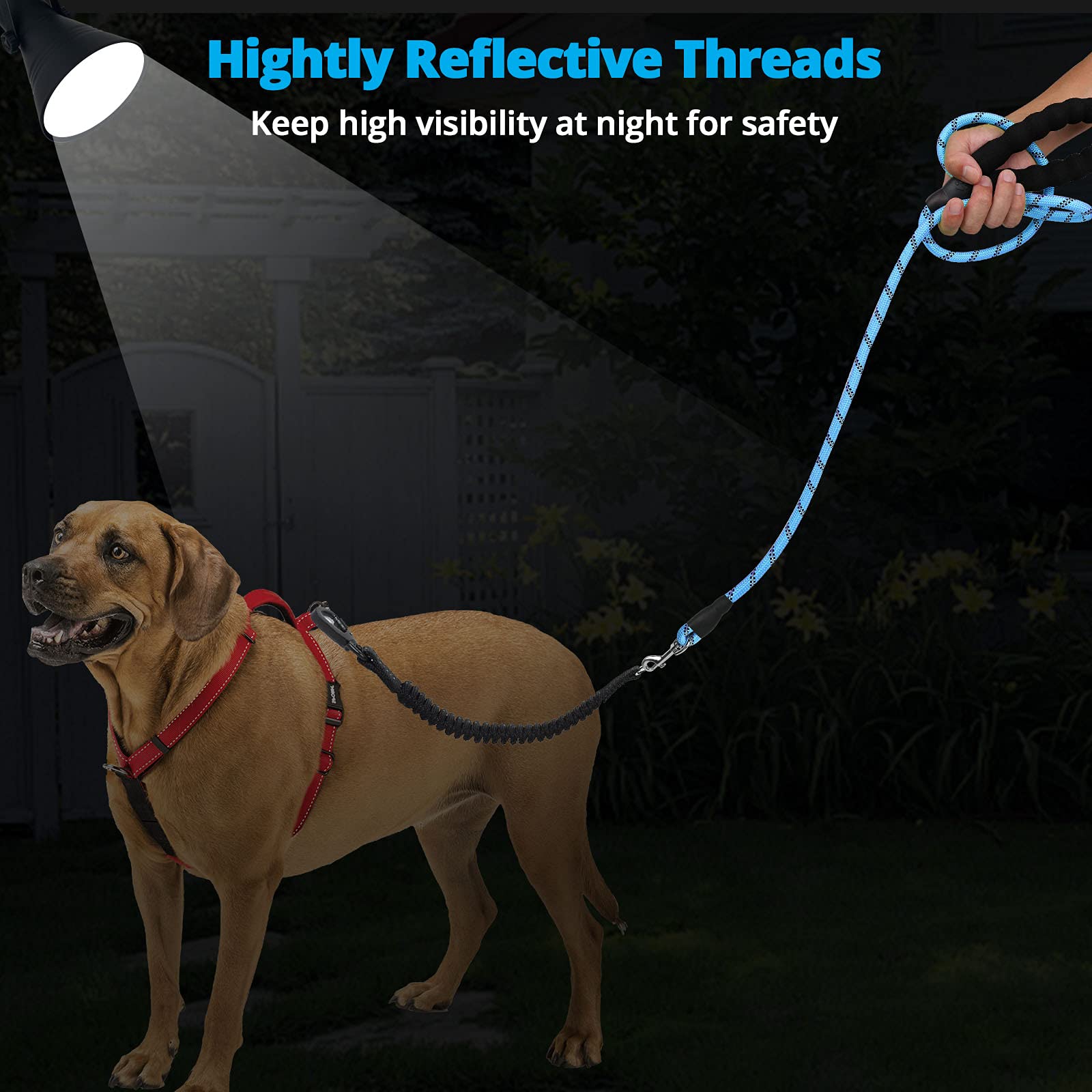 Ideal para caminatas, trotes y entrenamiento al aire libre con Jenico.