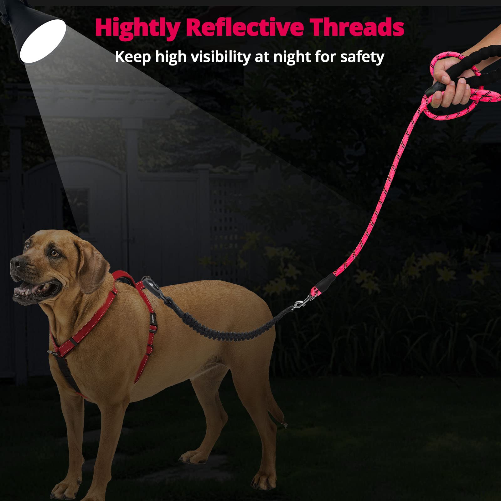 Jenico correa nylon resistente para perros grandes y pequeños.