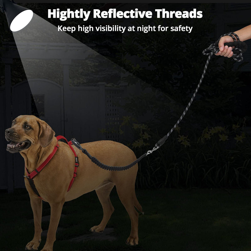 Jenico leash ideal for walking, running, and training outdoors.
