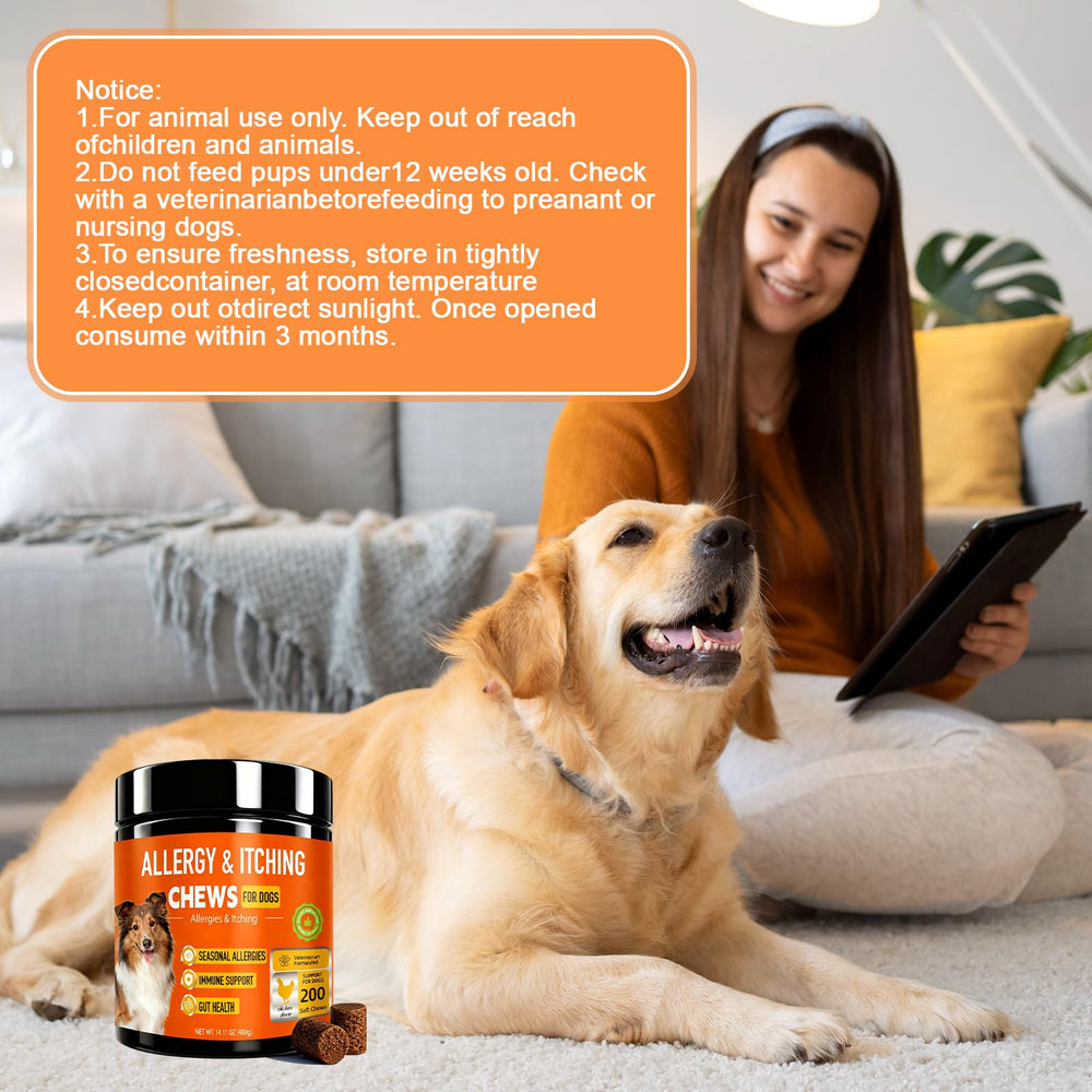 Jennandra curcuma y probioticos perro: apoyo natural para inflamación