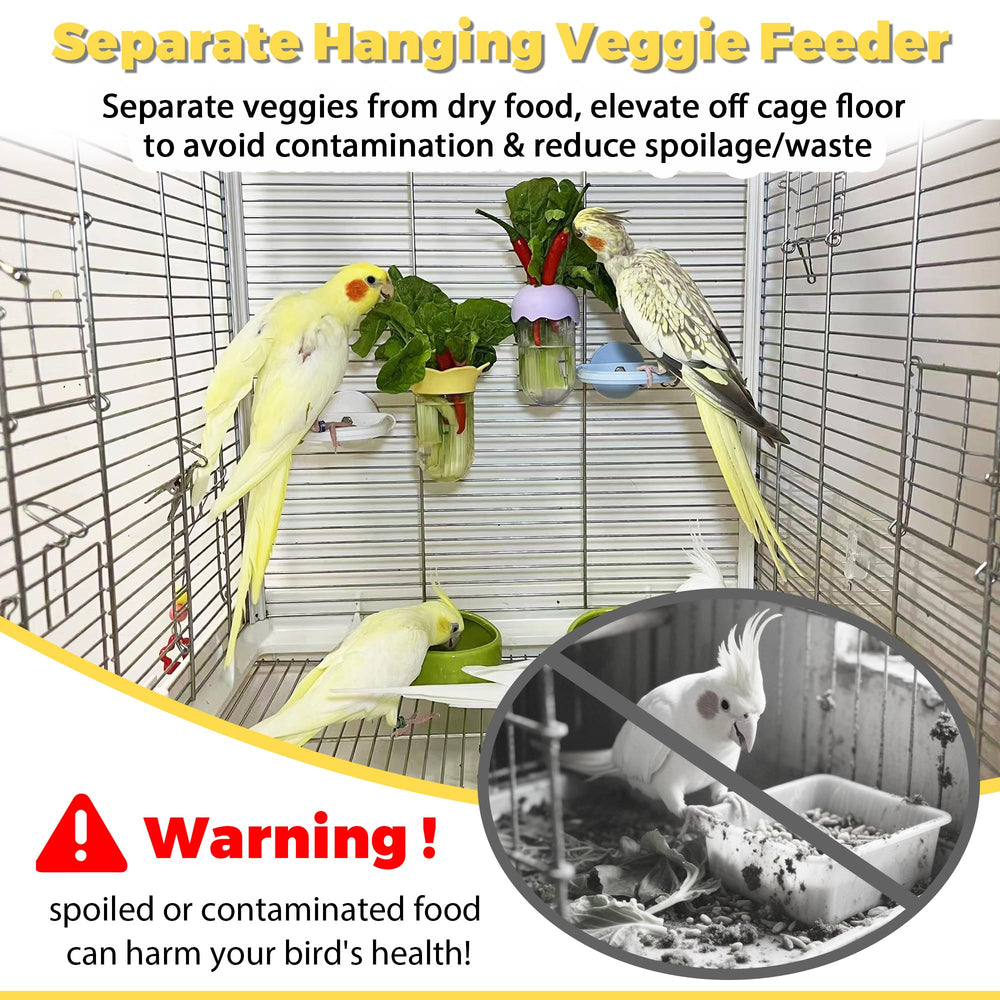 Jevnd alimentador colgante anti-suciedad para jaula mantiene verduras limpias.