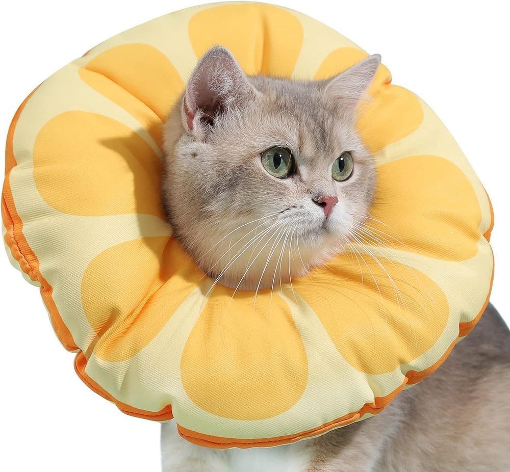 Jevnd collar cono suave donut: alivio cómodo para evitar lamidos tras cirugía