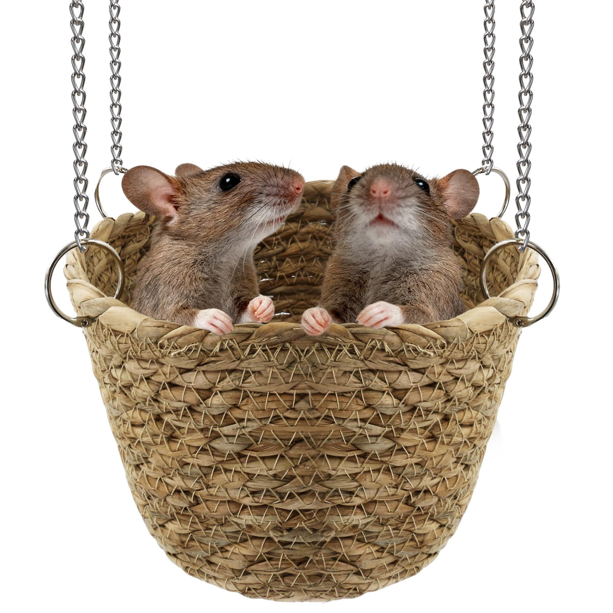 Jevnd hamaca para ratas de hierba natural, descanso cómodo y seguro.