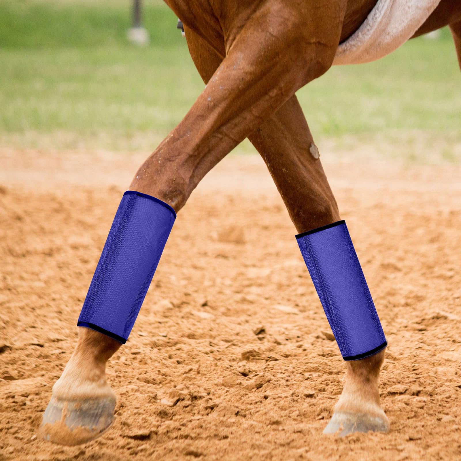 Jexine mallas aireadas para caballo rosa, confort durante el entrenamiento.