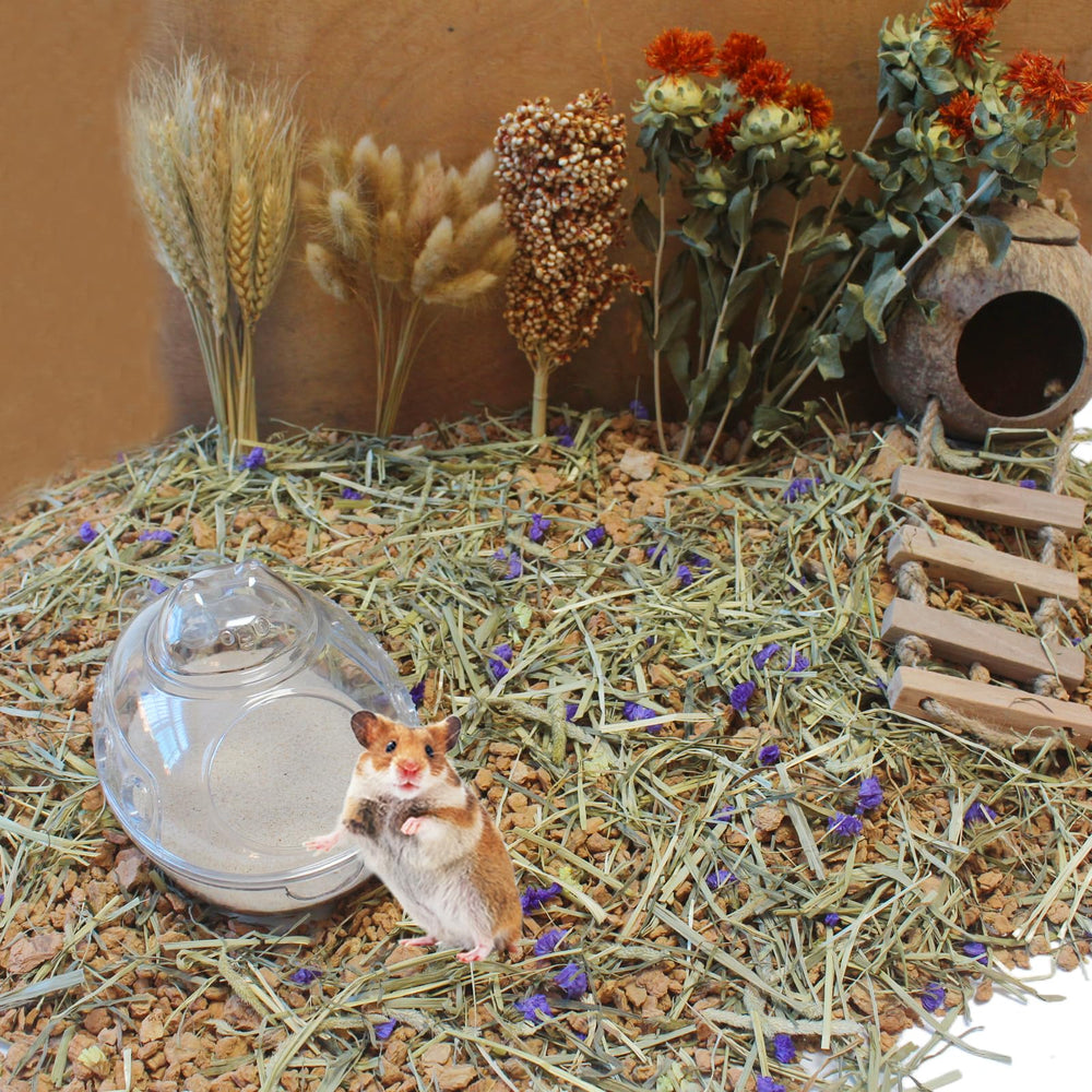 JFWOD arena absorbente de humedad para hamster, limpieza fácil.