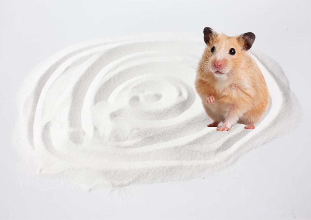 JFWOD arena para hamster de 3,3 lb para sesiones largas.