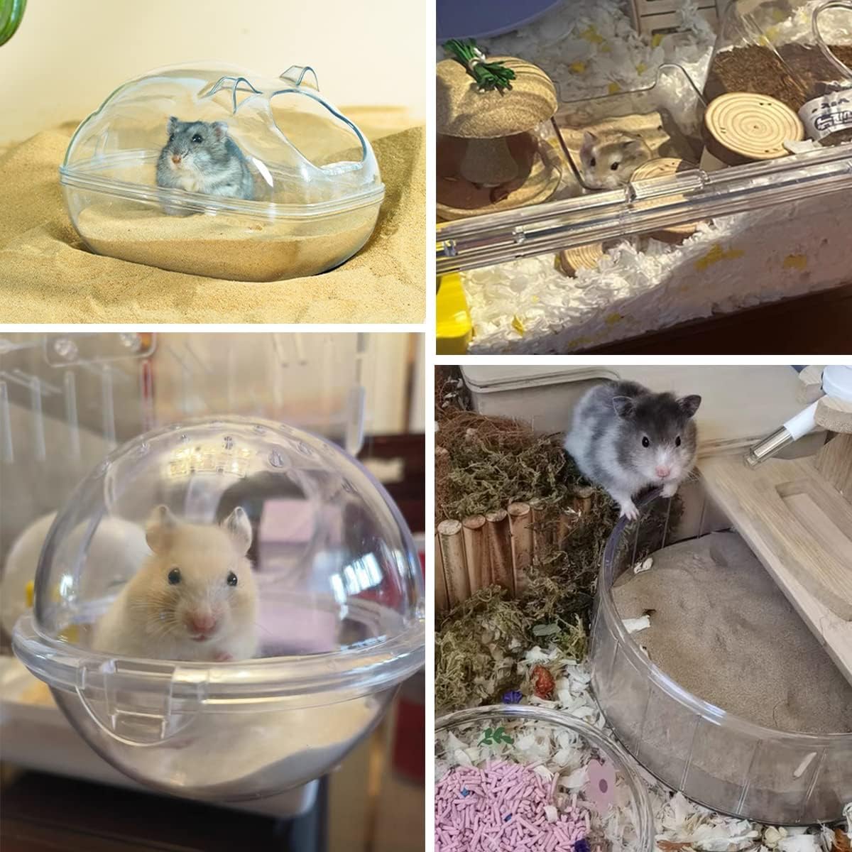 JFWOD arena de bano para chinchillas y gerbos, apta para sesiones regulares.