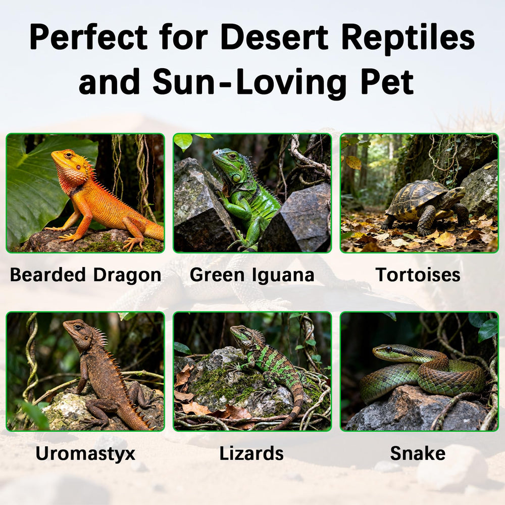 Compatibilidad de JHGKEGKE con hábitats desérticos y tropicales para reptiles.