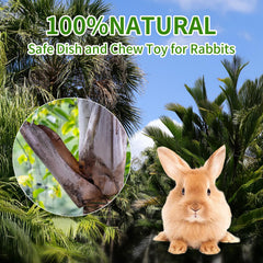Jiaxix cuenco eco-amigable-hoja-palma, fácil de limpiar y reutilizable.