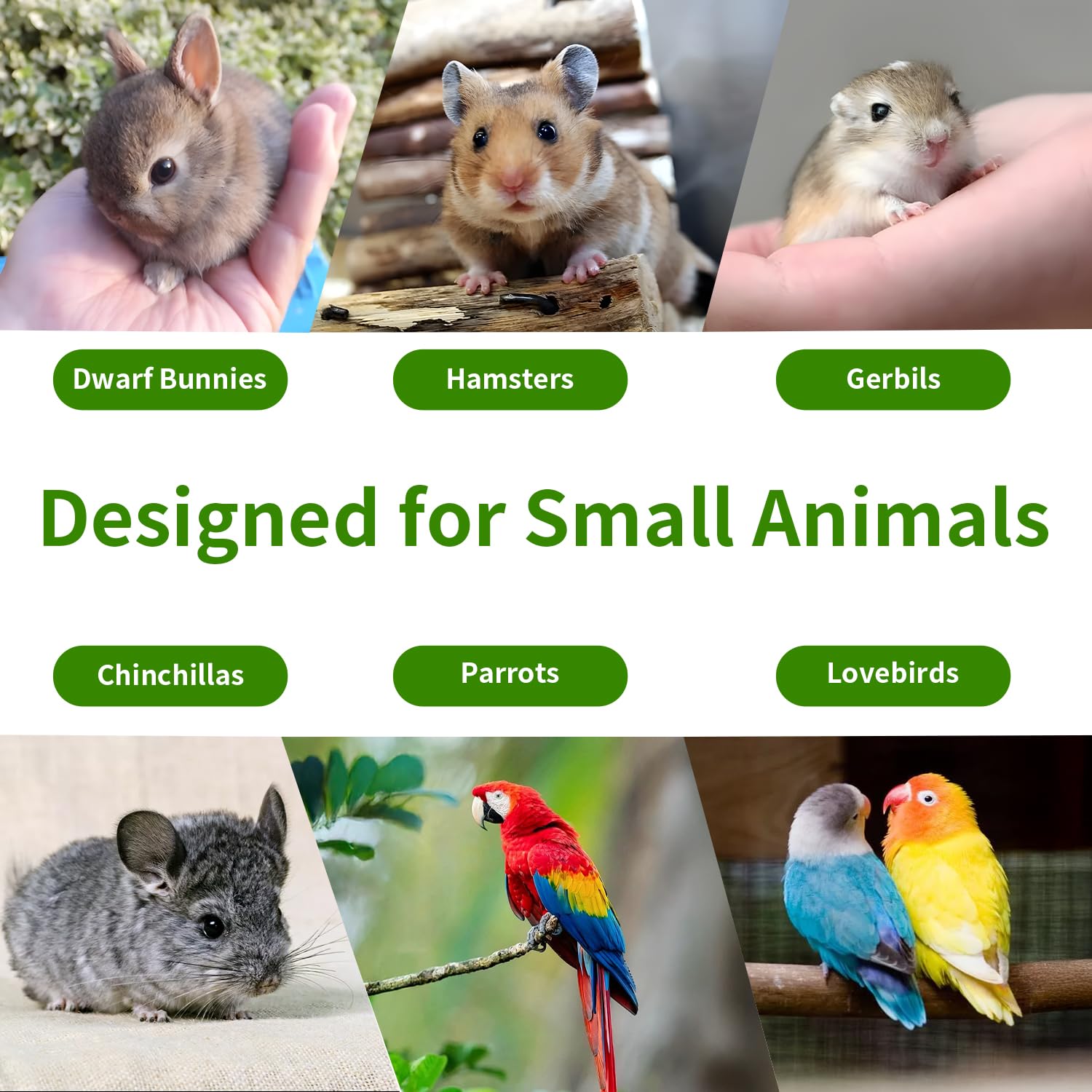 Jiaxix cuenco palma biodegradable, opción ecológica para mascotas