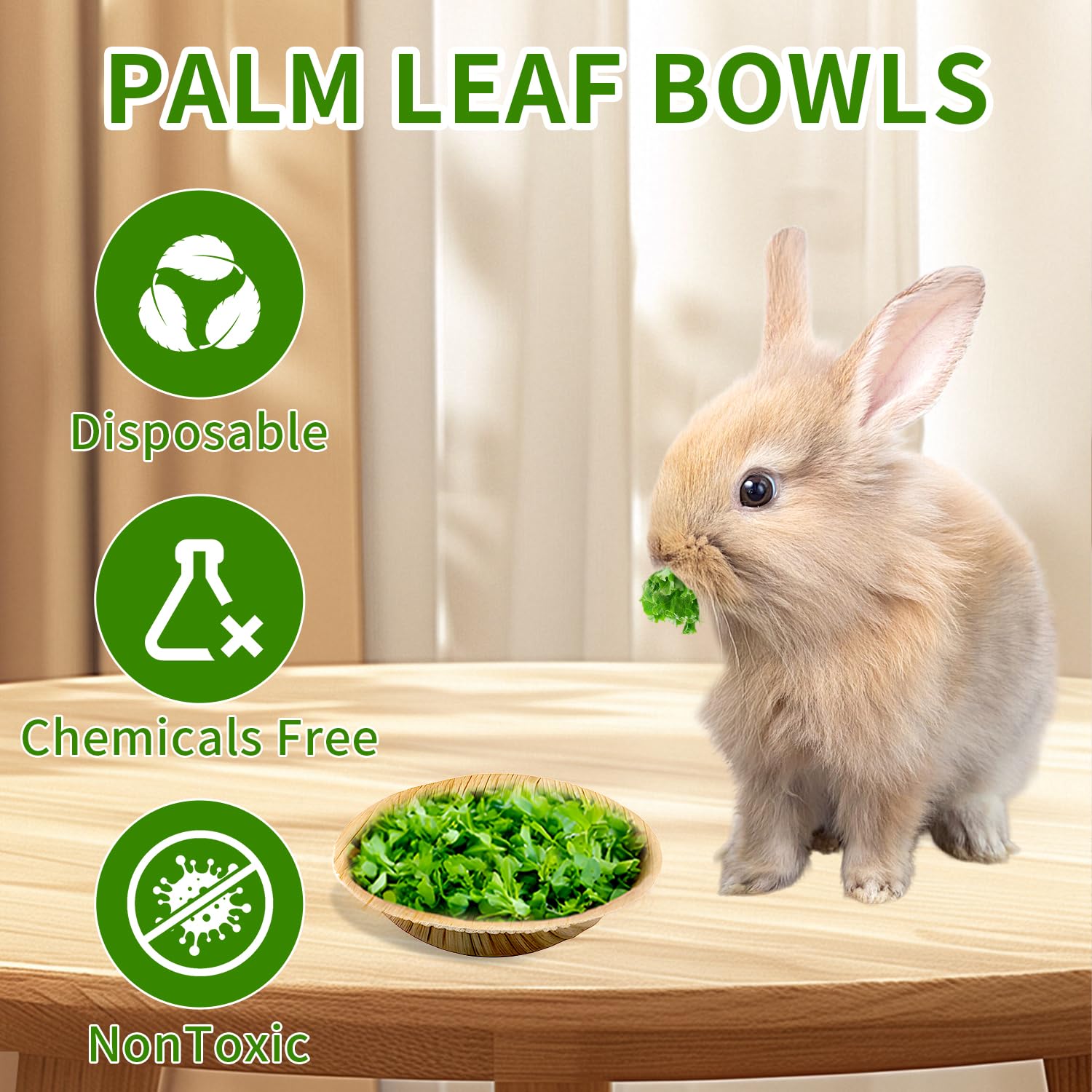 Jiaxix plato natural-hoja-palma, opción ecológica para mascotas pequeñas.