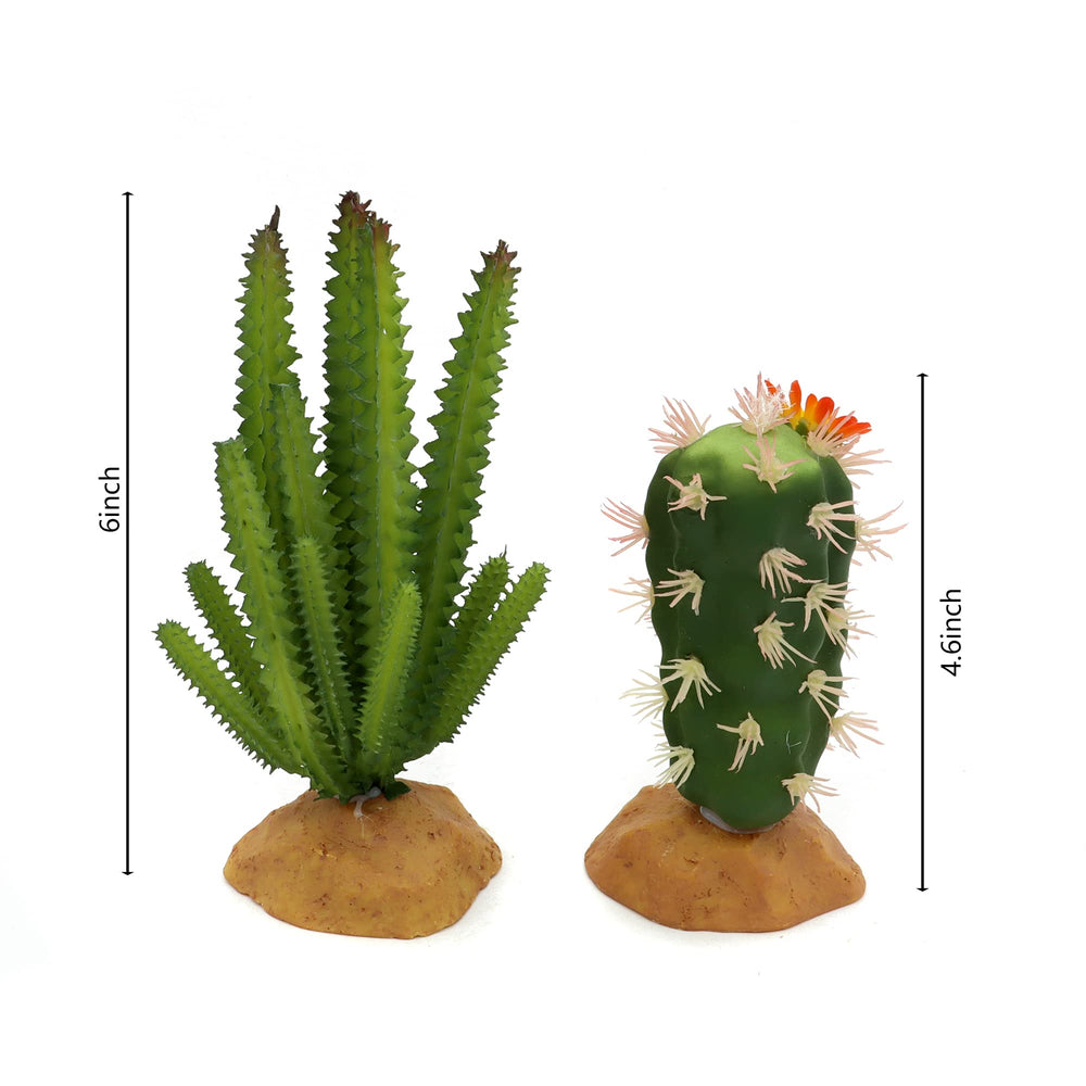 JIHAQUA planta suculenta artificial, variedad de verdes para terrario reptil.