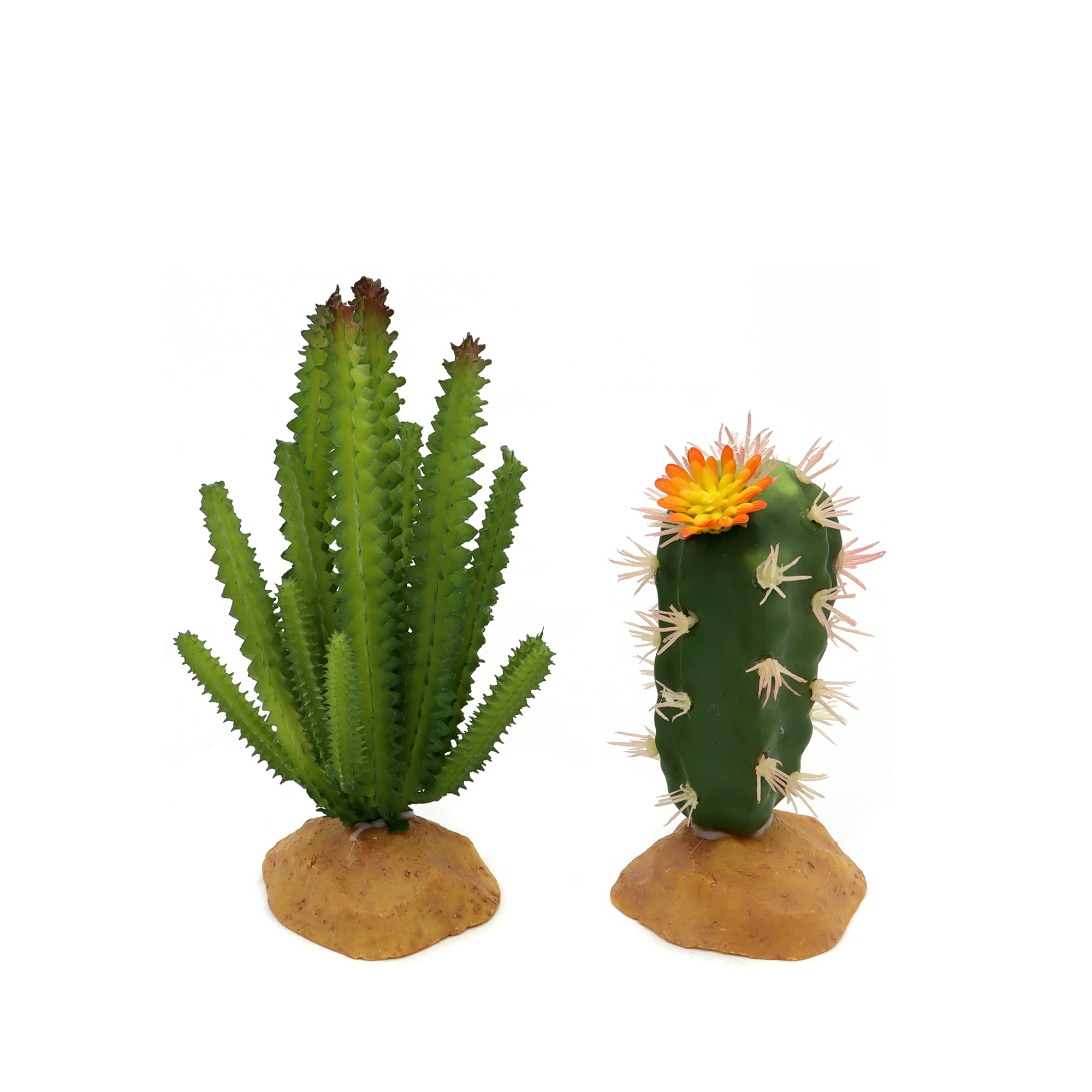 JIHAQUA plantas reptil, textura y color que inspiran creatividad en el terrario.