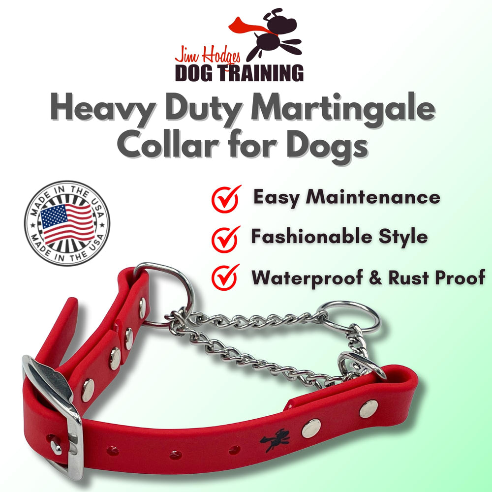 Herrajes de acero inoxidable en collar Biothane para mayor durabilidad