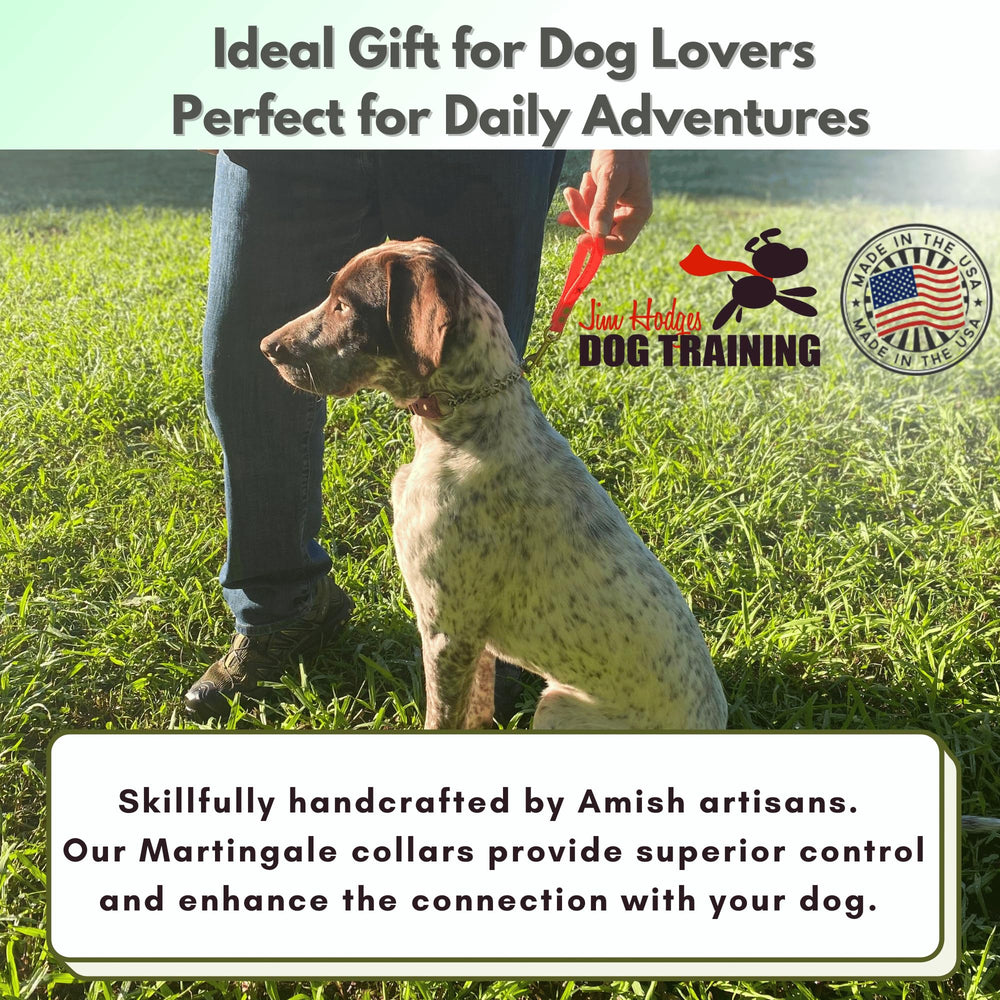 JIM HODGES DOG TRAINING fácil limpieza con jabón y agua tras uso diario.