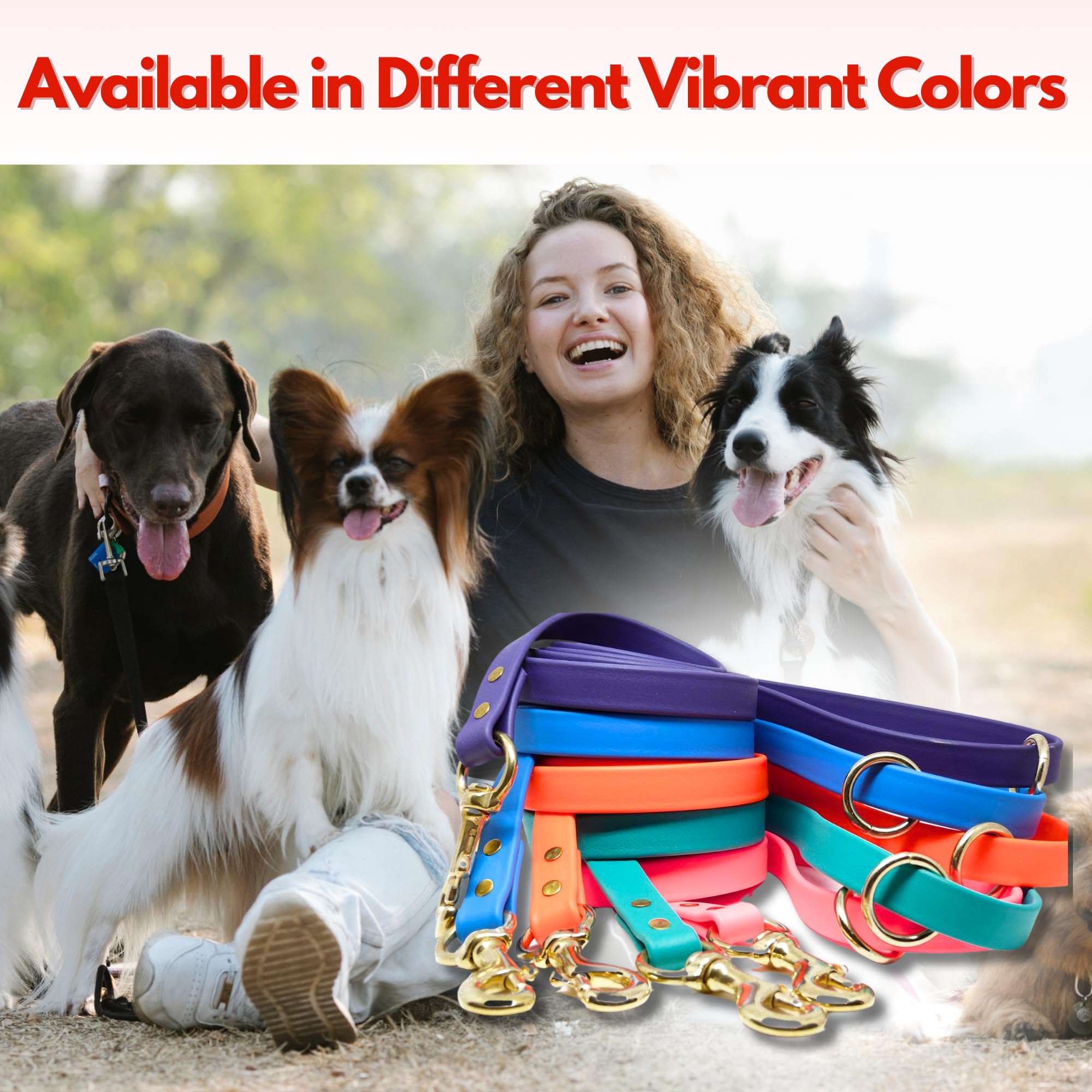 Ideal para entrenamiento, paseo y trote con perros de cualquier tamaño.