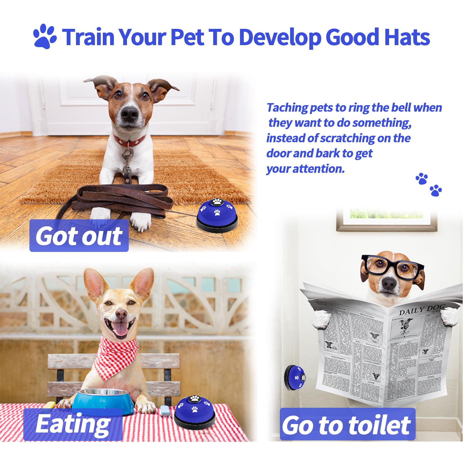 Timbres JIMEJV de tres piezas para mascotas, juego interactivo para aprendizaje.