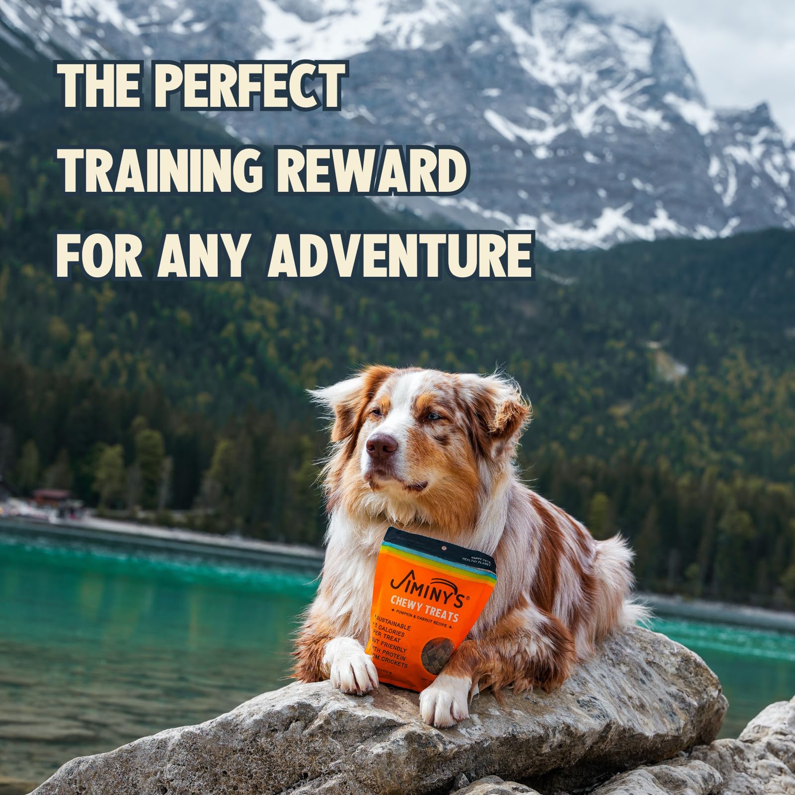 Premio de entrenamiento Jiminy para perros durante la sesión.