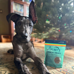 Jiminy's bocaditos para perros, alto contenido proteico para una dieta equilibrada