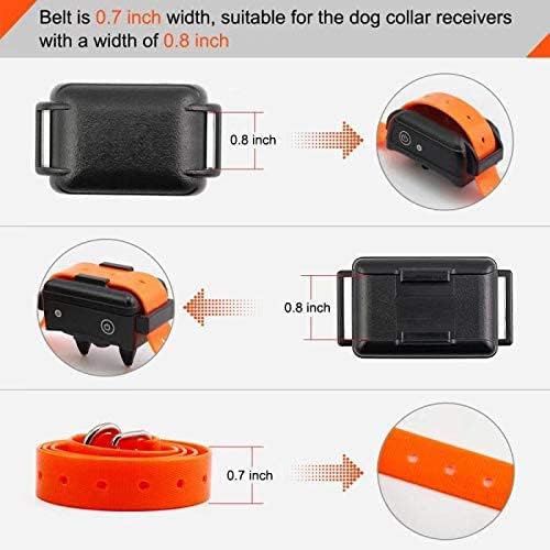 JimysCo EveryPet: Correa Repuesto 27,5” x 0,75” para Collar de Adiestramiento - TPU Impermeable, Ajustable y 35 Agujeros