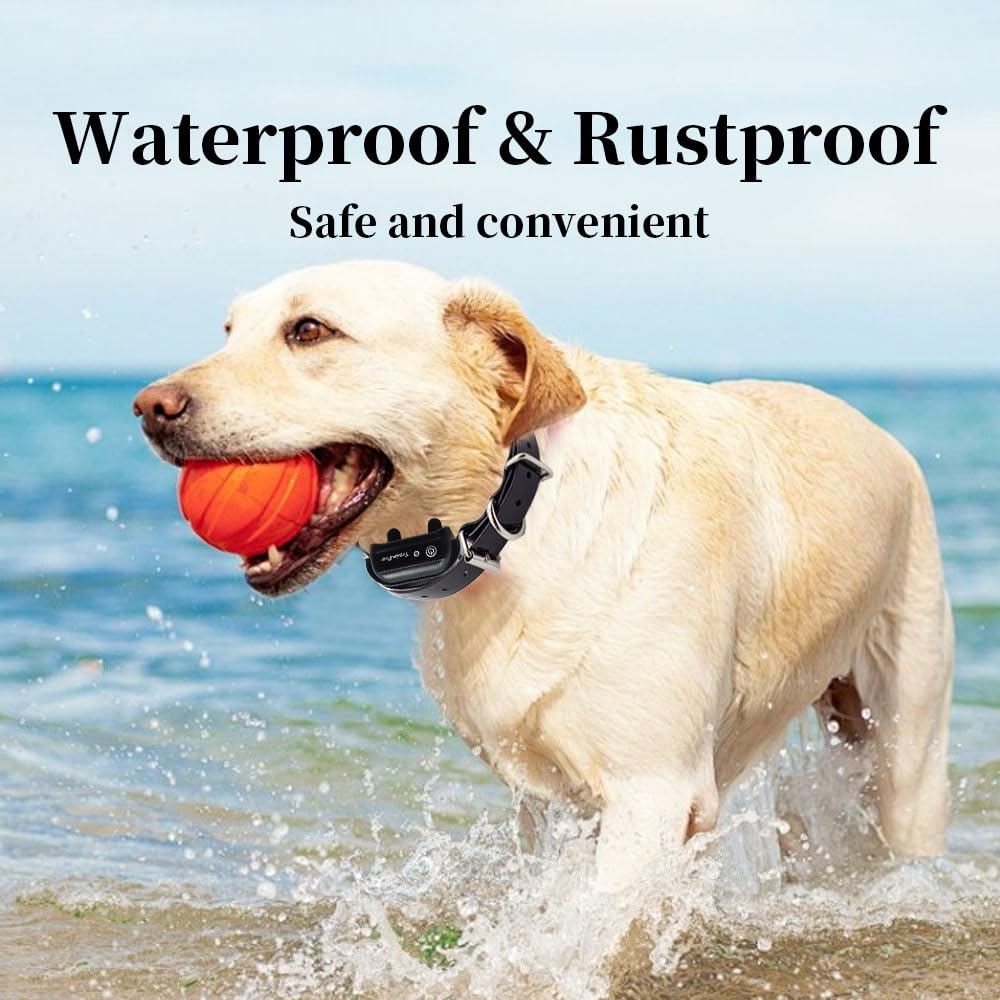 JimysCo EveryPet: Correa Repuesto 27,5” x 0,75” para Collar de Adiestramiento - TPU Impermeable, Ajustable y 35 Agujeros