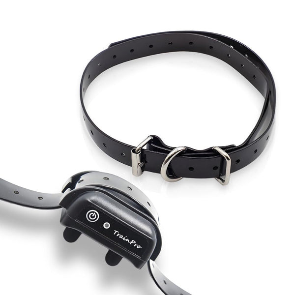 JimysCo EveryPet: Correa Repuesto 27,5” x 0,75” para Collar de Adiestramiento - TPU Impermeable, Ajustable y 35 Agujeros — imagen 2