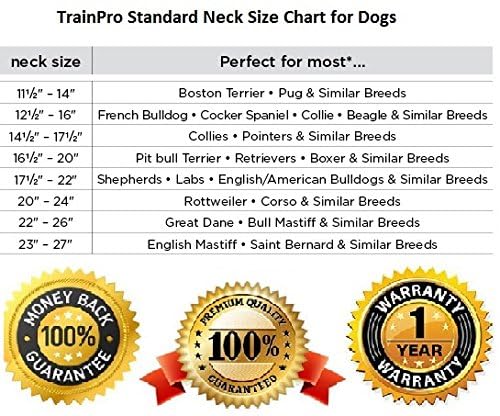JimysCo EveryPet: Correa Repuesto 27,5” x 0,75” para Collar de Adiestramiento - TPU Impermeable, Ajustable y 35 Agujeros