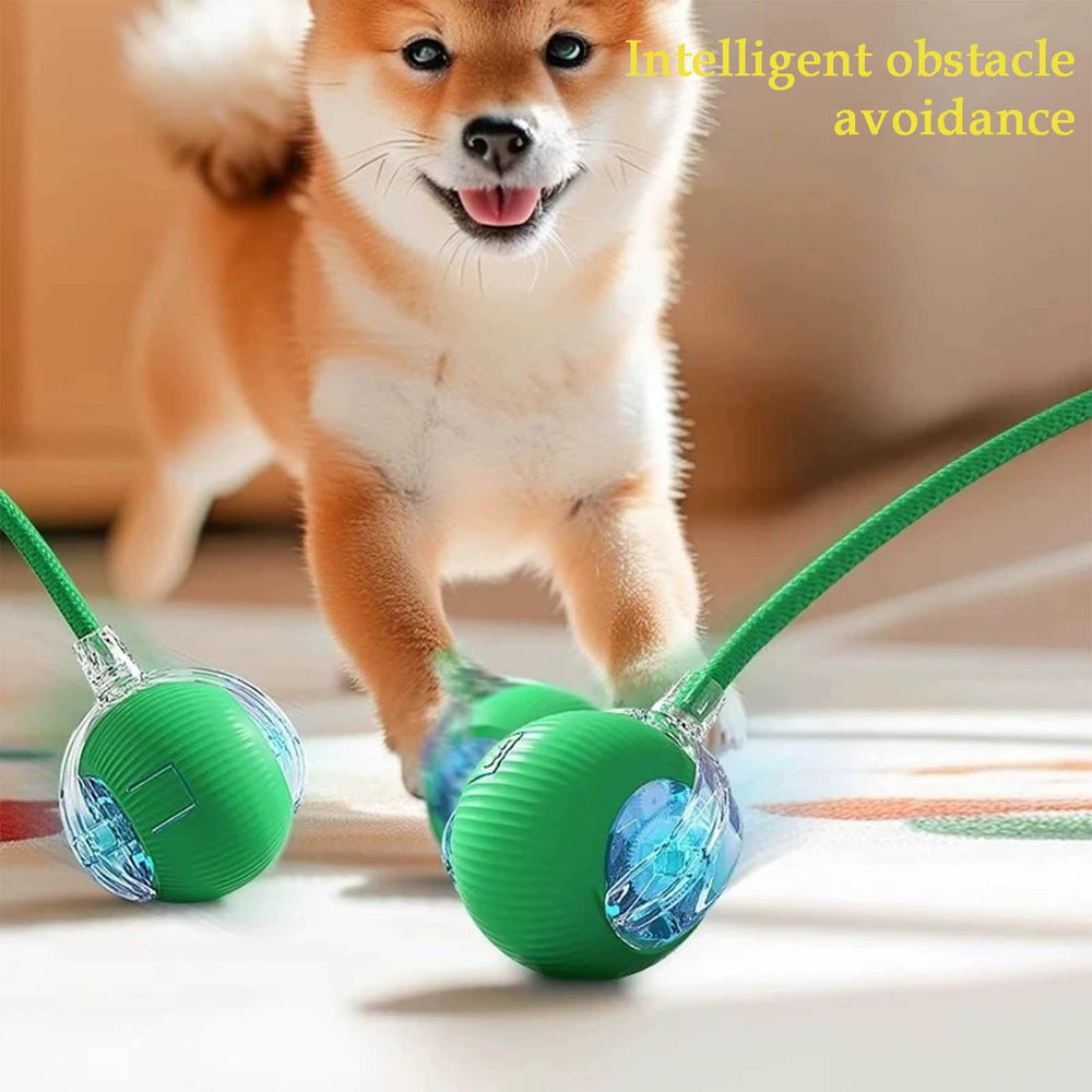 JinRui-T ideal para juegos en interiores y exteriores.