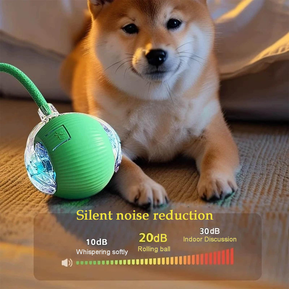 Bola JinRui-T para perros y gatos, promueve ejercicio activo.