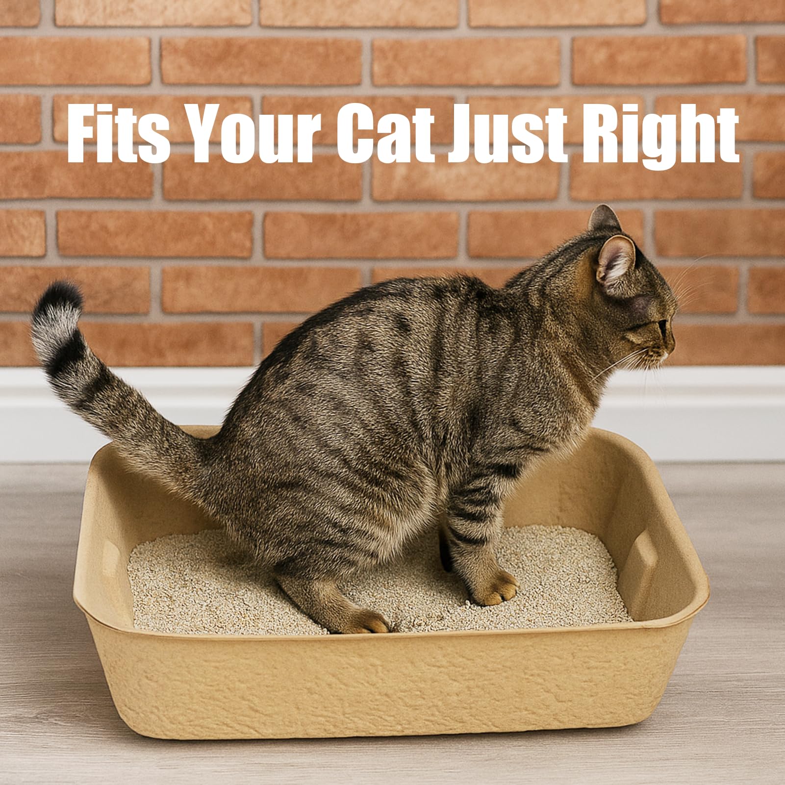 JINVOGREEN caja desechable para gatos, uso temporal en hoteles