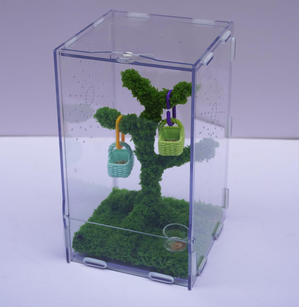 Jinymral mini canastas decorativas para personalizar el terrario
