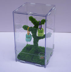 Jinymral mini canastas decorativas para personalizar el terrario
