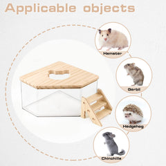 Dimensiones de la caja de arena Jinzhenhong para hámster, espacio cómodo.