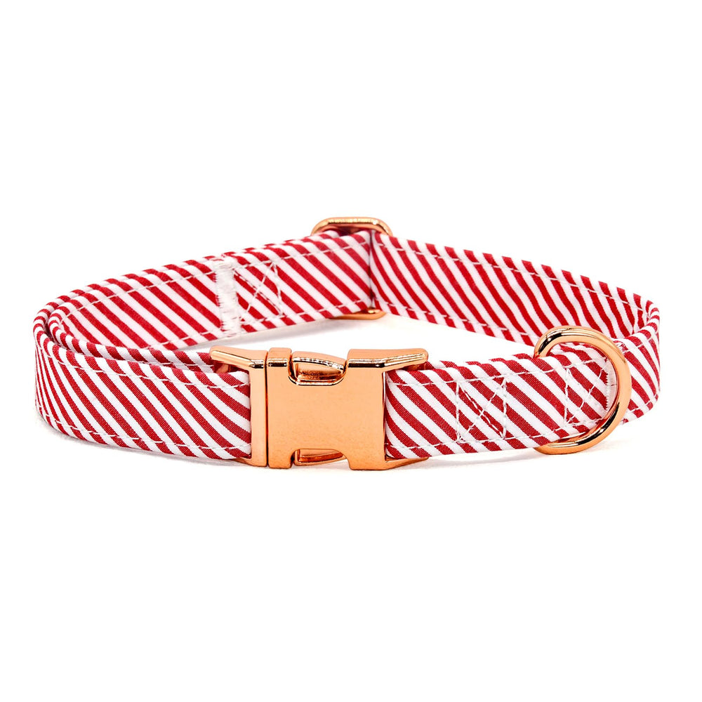 JIUJIA detalle algodón en collar, tacto suave para perros.