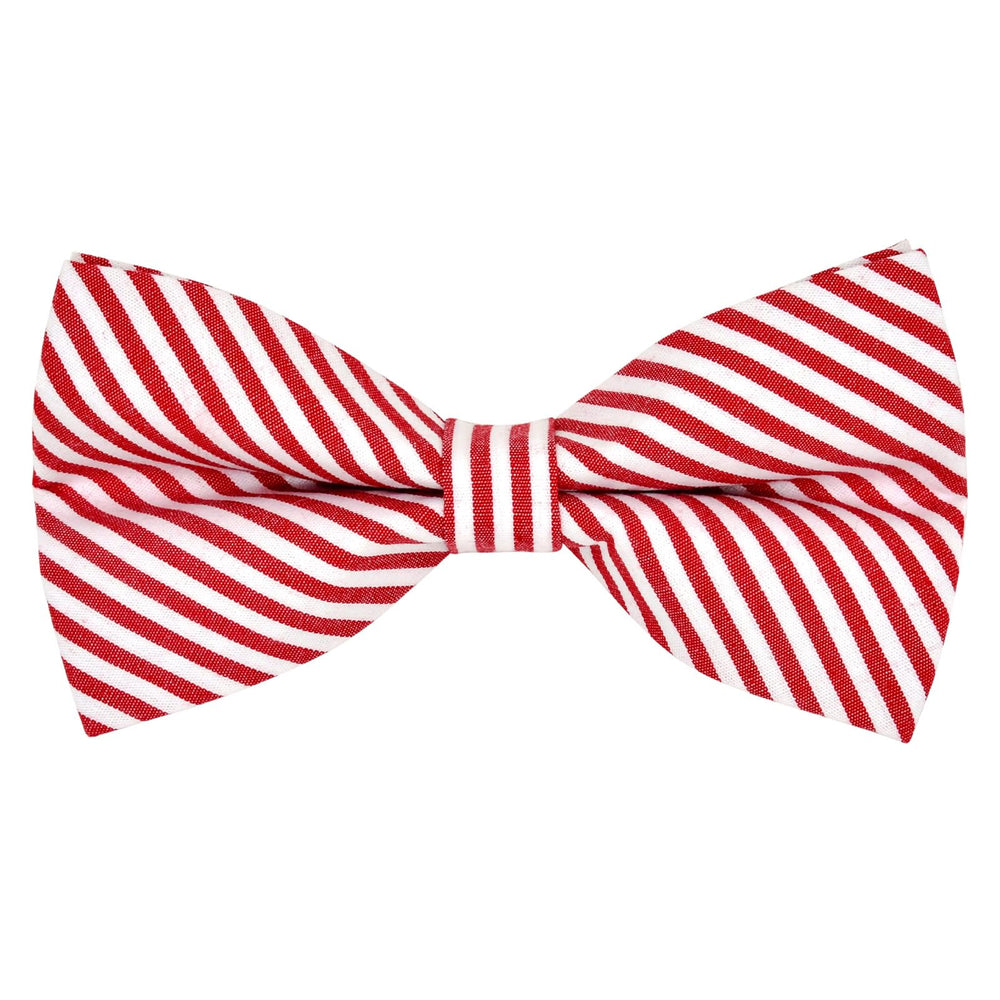 JIUJIA lazo desmontable que se adapta a cualquier collar.