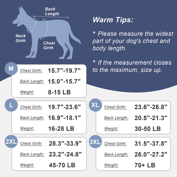 Guía de tallas Jiupety para medir al perro y elegir la talla.